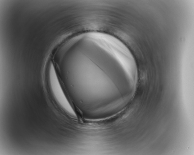 X0000088140678200706042009