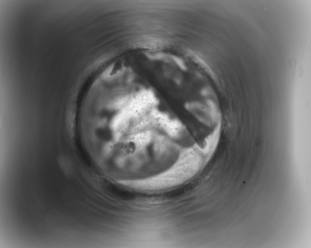 X0000088140679200706042009