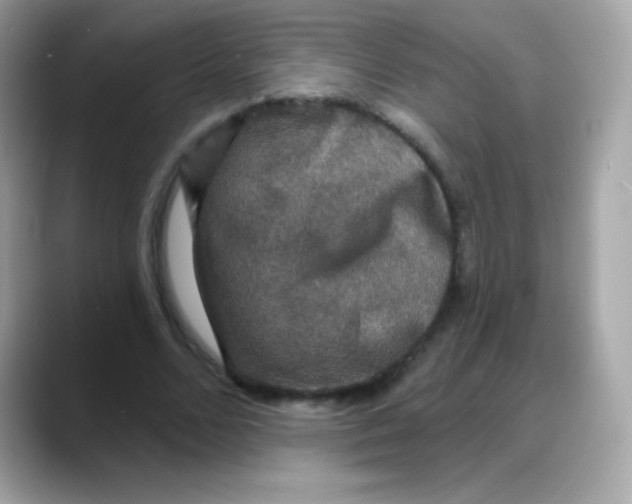 X0000088140680200706042009