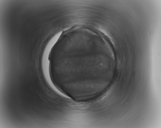 X0000088140681200706042009