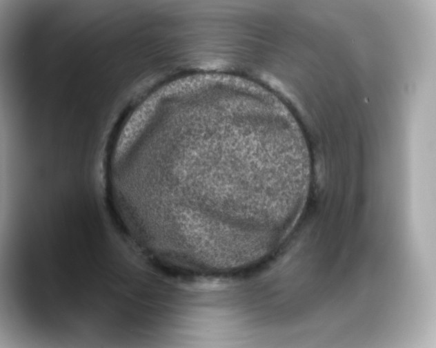 X0000088140682200706042009