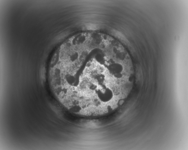 X0000088140683200706042009