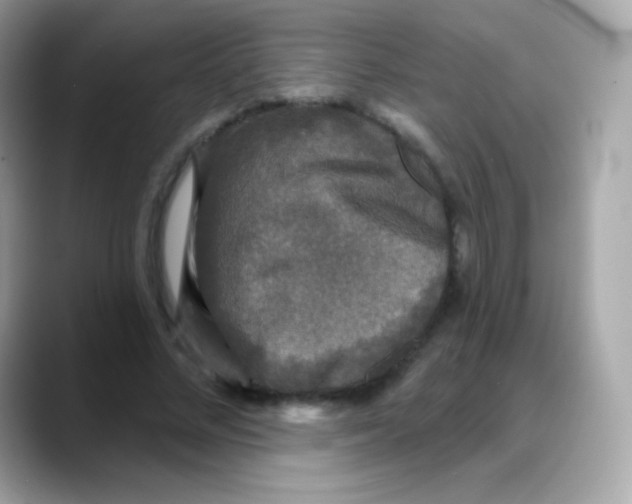 X0000088140684200706042009