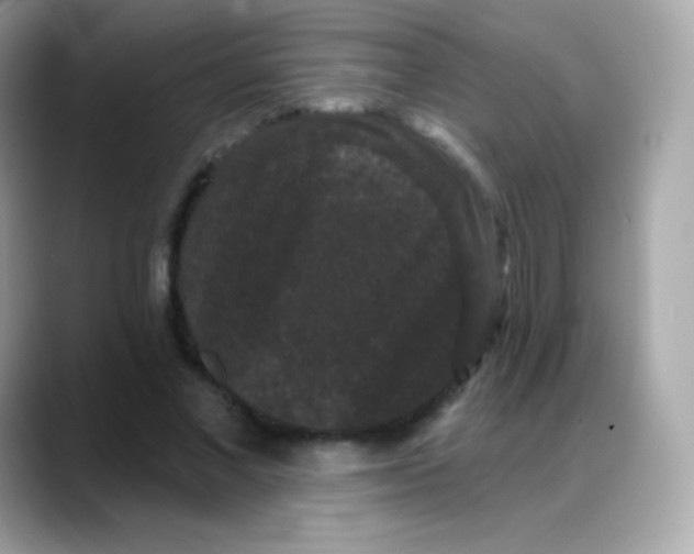 X0000088140685200706042009