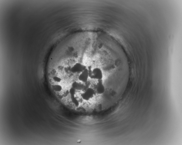 X0000088140687200706042009