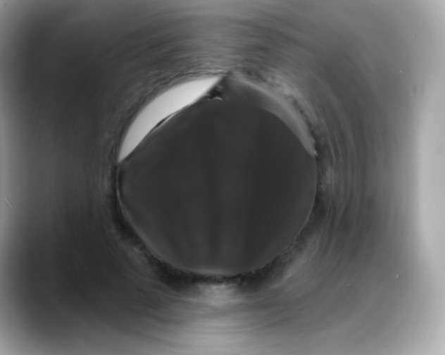 X0000088140689200706042009