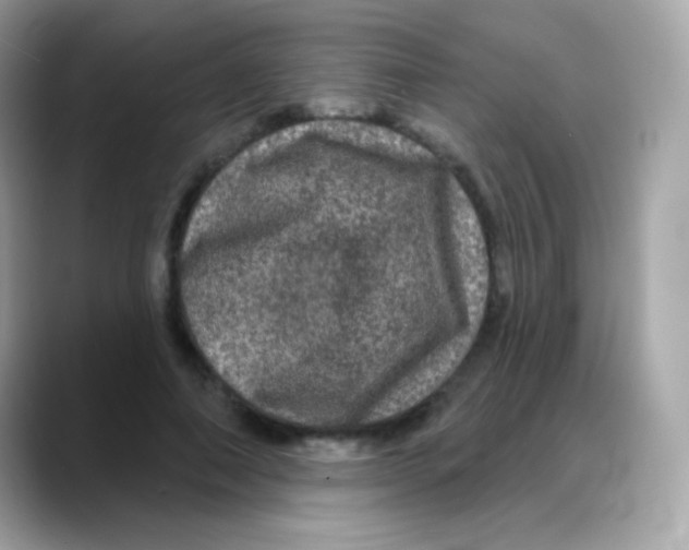 X0000088140690200706042009