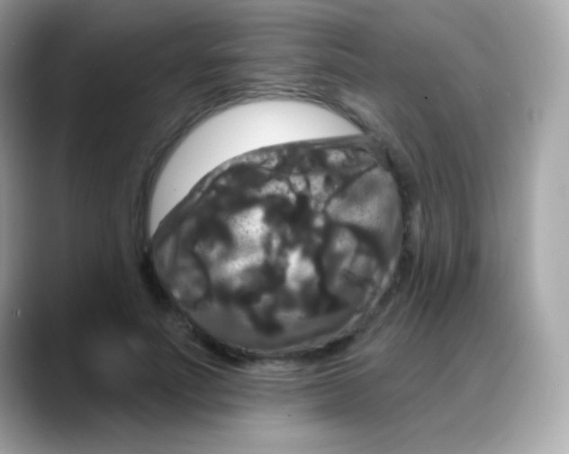 X0000088140691200706042009