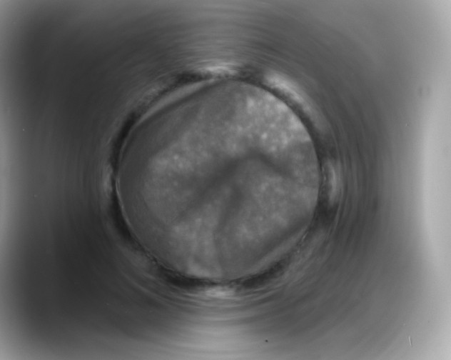 X0000088140692200706042009