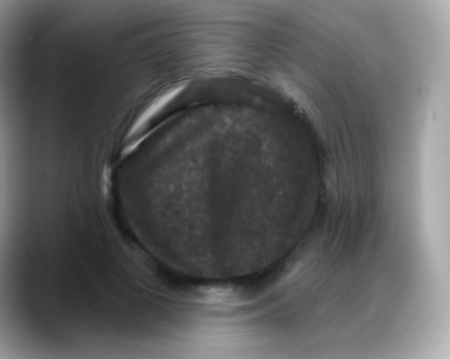 X0000088140693200706042009