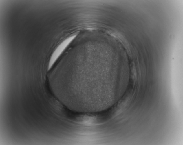 X0000088140697200706042009