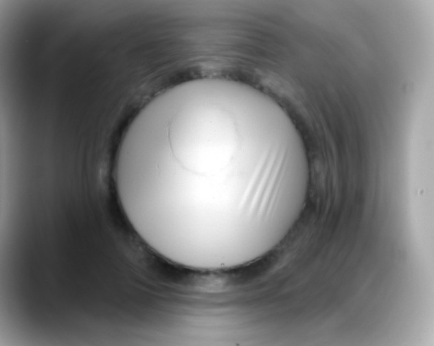 X0000088140698200706042009