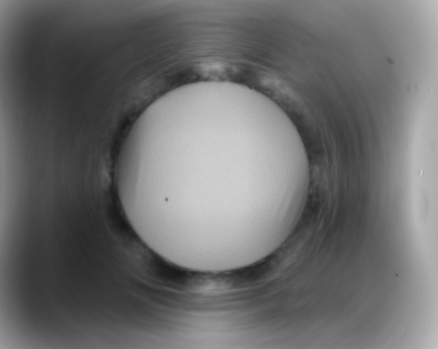 X0000088140702200706042009