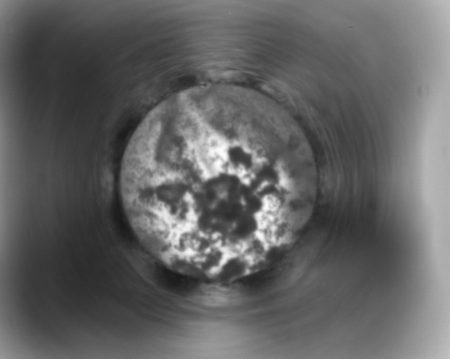 X0000088140703200706042009