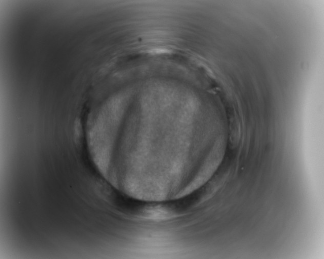 X0000088140704200706042009