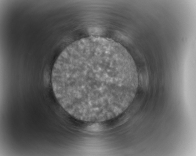 X0000088140705200706042009