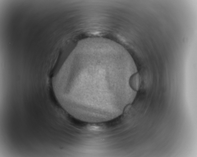 X0000088140706200706042009