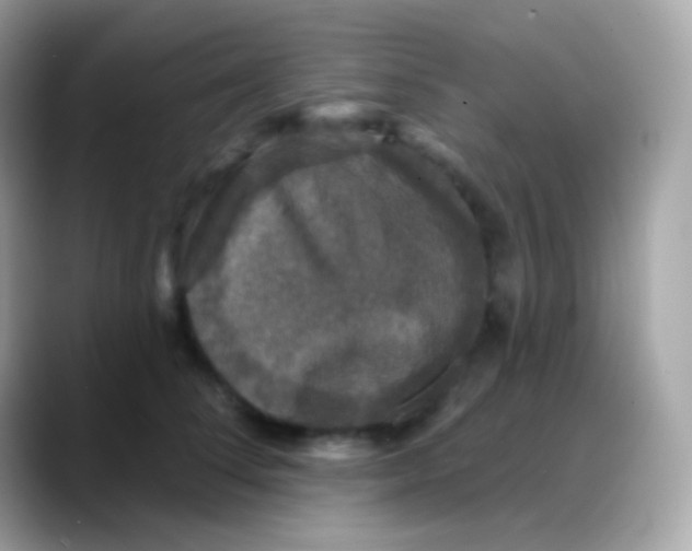 X0000088140708200706042009