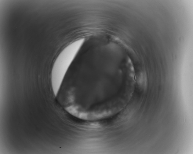 X0000088140715200706042009