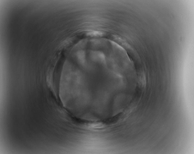 X0000088140716200706042009