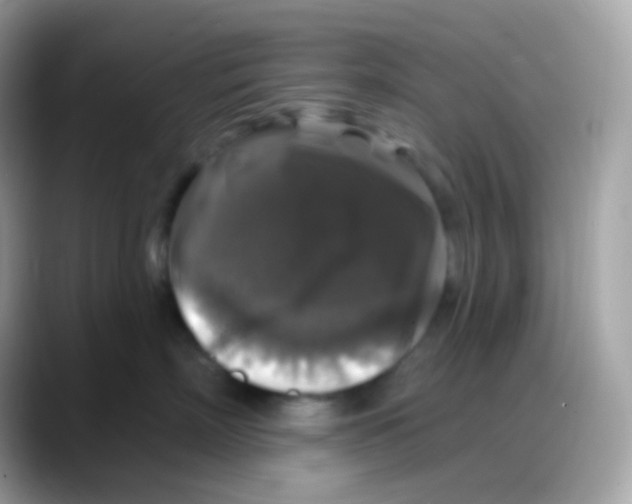 X0000088140718200706042009