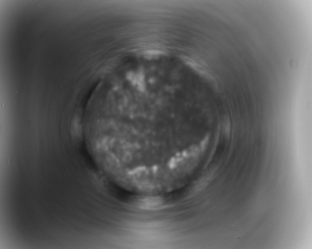 X0000088140719200706042009