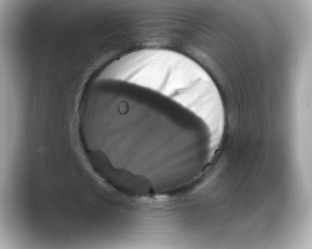 X0000088140721200706042008