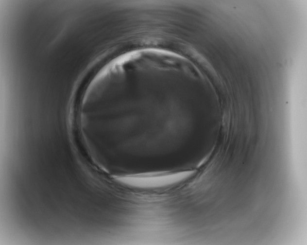 X0000088140722200706042008