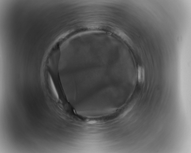 X0000088140723200706042008