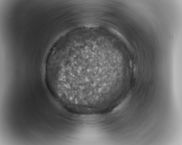 X0000088140725200706042008