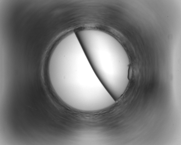 X0000088140728200706042008