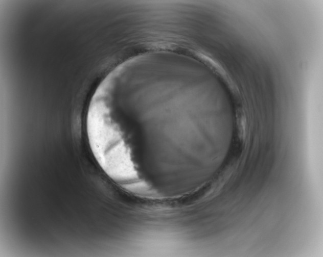 X0000088140729200706042008