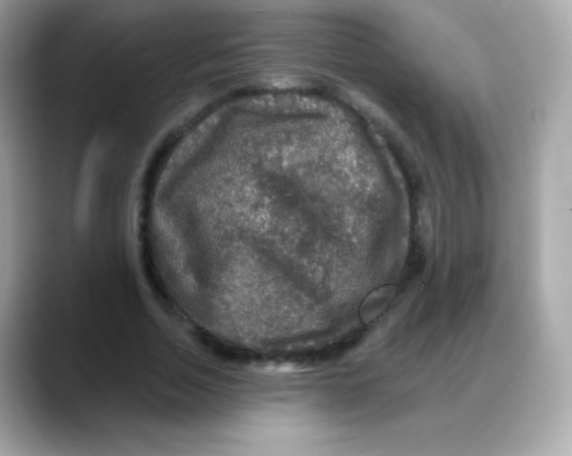 X0000088140730200706042008