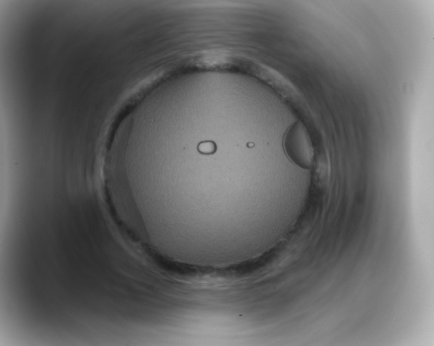 X0000088140732200706042008