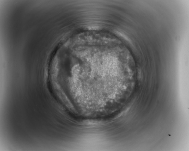 X0000088140733200706042008