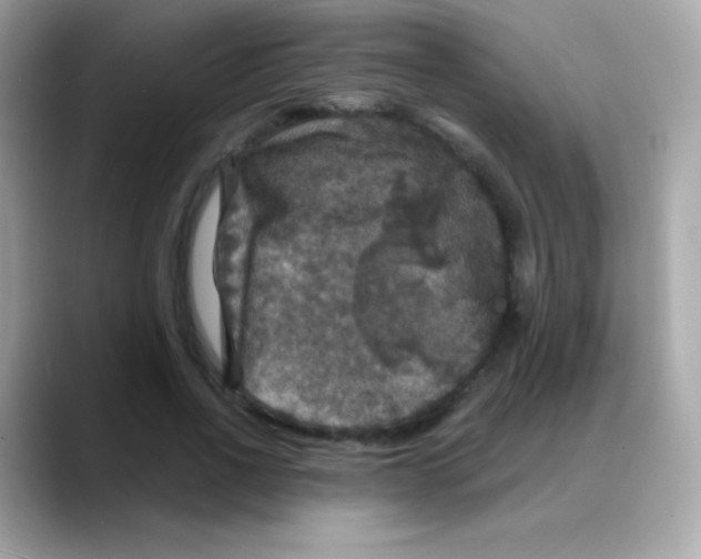 X0000088140734200706042008