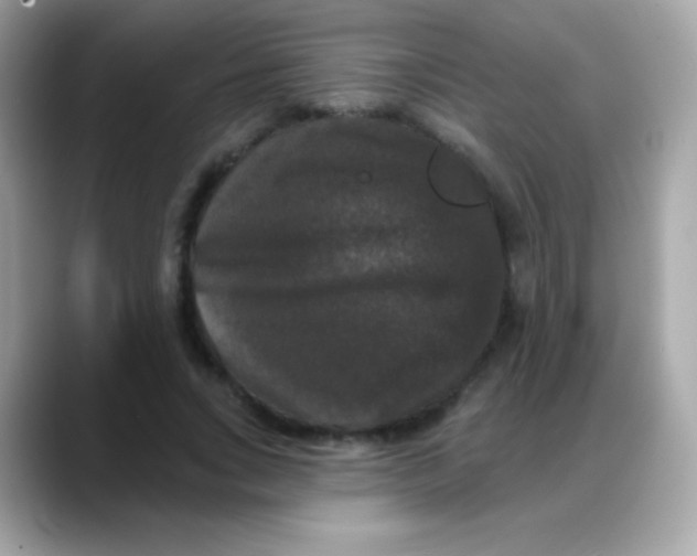 X0000088140735200706042008