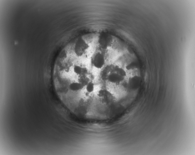 X0000088140737200706042008