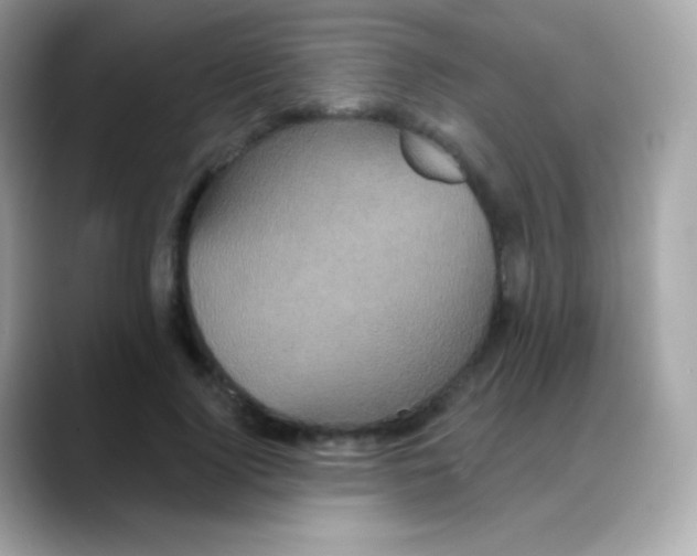 X0000088140740200706042008