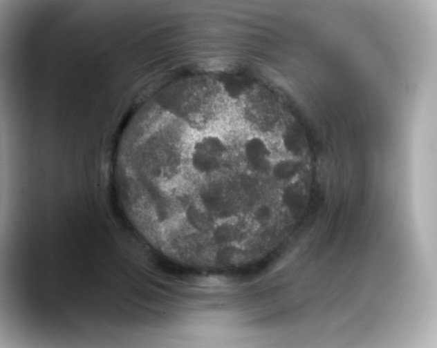 X0000088140741200706042008