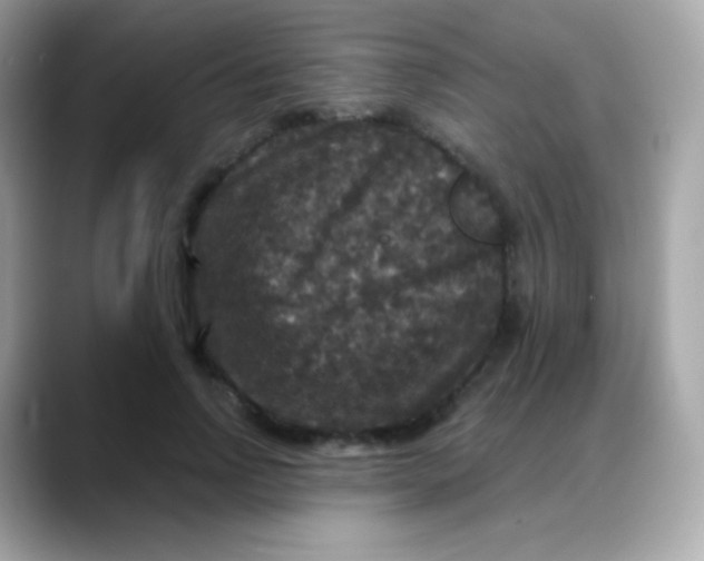 X0000088140742200706042008