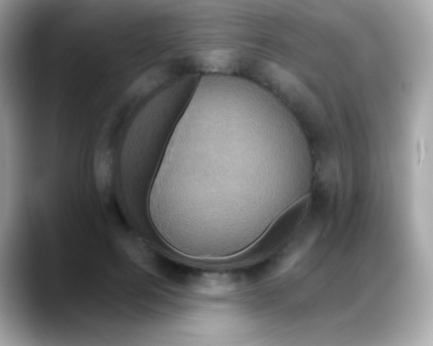 X0000088140744200706042008