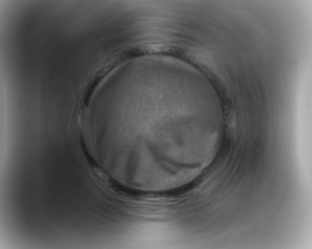 X0000088140746200706042008