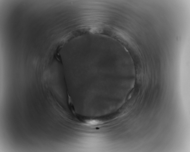 X0000088140748200706042009