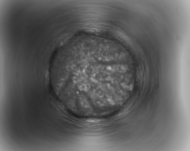 X0000088140749200706042009