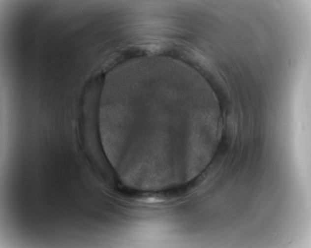 X0000088140750200706042009