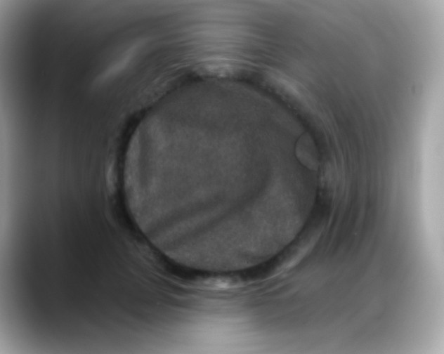 X0000088140751200706042009