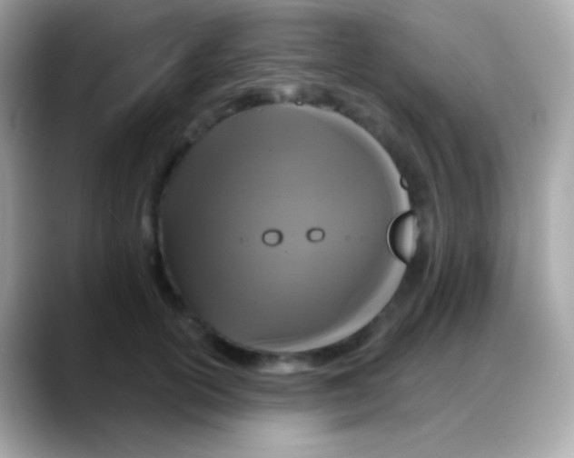 X0000088140754200706042009