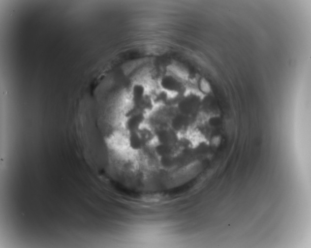 X0000088140757200706042009