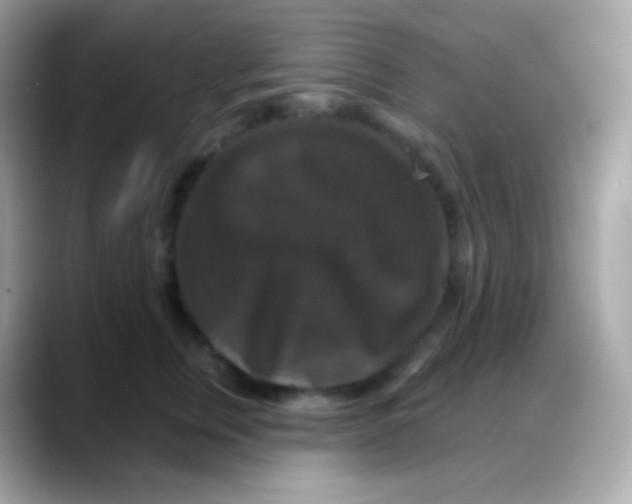 X0000088140759200706042009